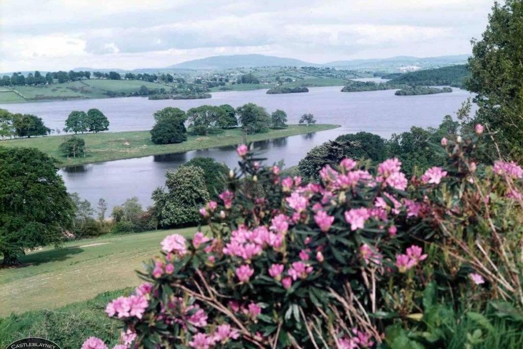 Glenmount Castleblayney Villa Dış mekan fotoğraf